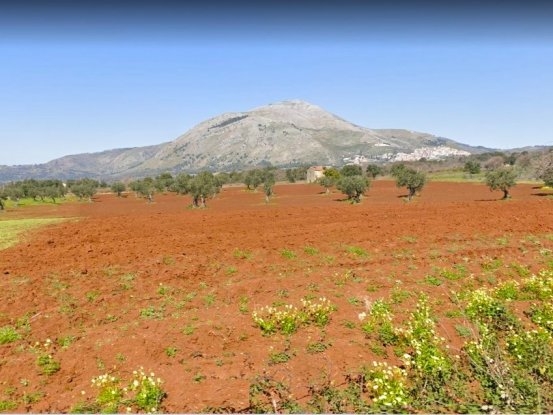 Santa Domenica Talao Terreno Agricolo 