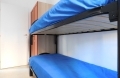 Santa Maria Del Cedro Renovate  Apartment