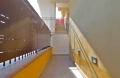 Santa Maria Del Cedro Renovate  Apartment