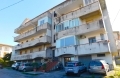 Grisolia  Attico Panoramico